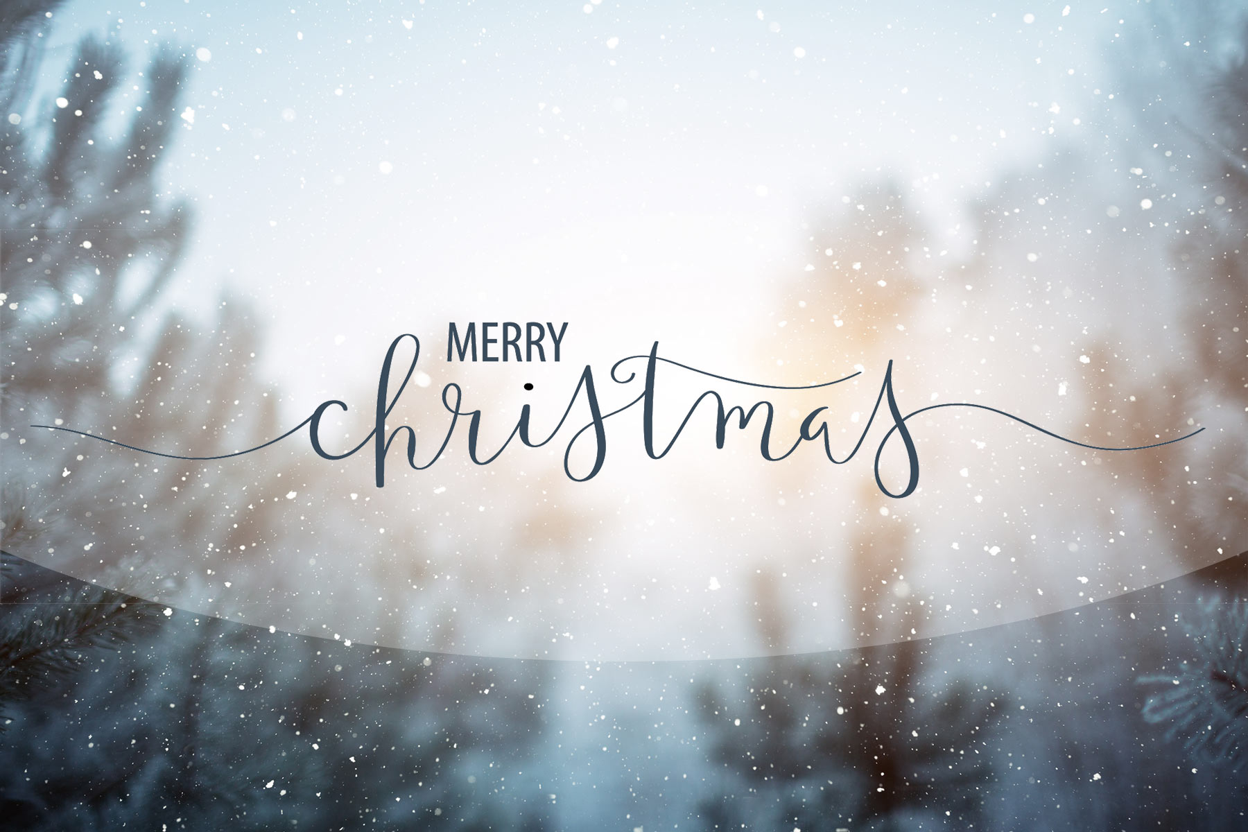 Social Media post asset for Dec 4