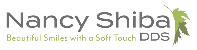 logo of EX Shiba