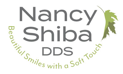 logo of EX Shiba stacked