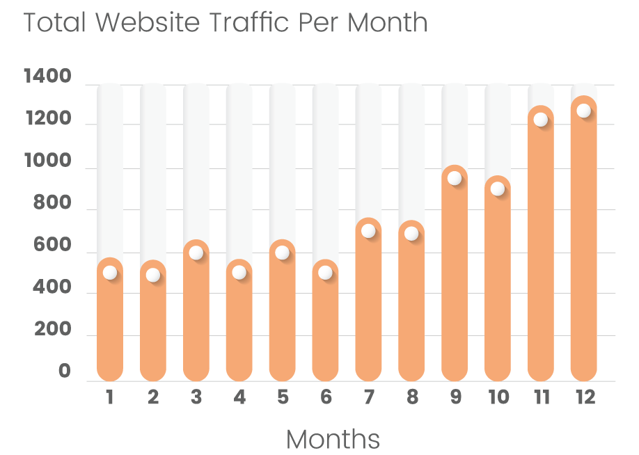 Website traffic results graph