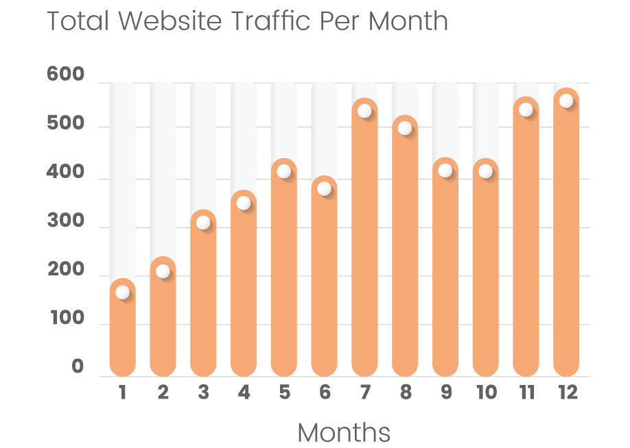 Website traffic results graph